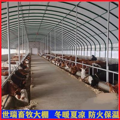 大型养牛场牛棚搭建 牛舍大棚施工 肉牛养殖棚安装厂家
