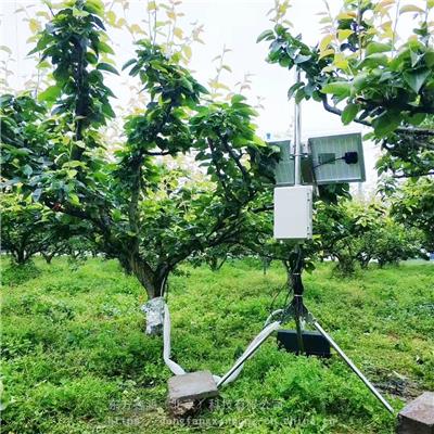 植物生理生态环境监测系统 在线实时监测 东方鑫鸿 DF-ZSH