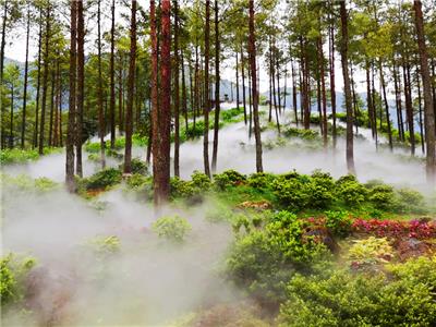 水雾环保贵阳公园雾森造景设备安装