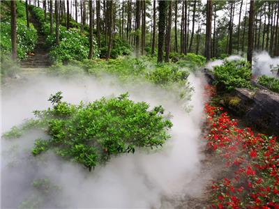 贵州5A景区景观高压人造雾设备安装厂家