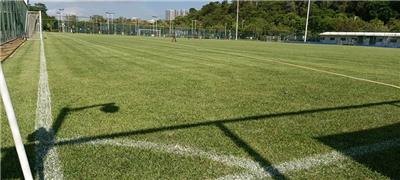 创想城建 供应环保 翠绿 阻燃人造草坪足球场