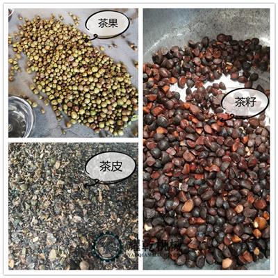 茶籽脱壳机 新型油茶果剥皮设备 无损式日产2000斤剥壳机