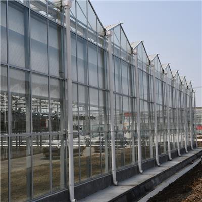 建达JD 玻璃大棚定制 连栋玻璃温室 智能温室 农业大棚