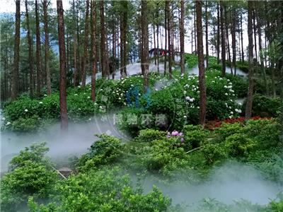 湖南水雾造景设备-智能水雾雾森系统-博驰环境工程