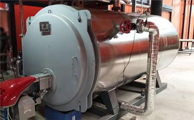 雅安500公斤生物质蒸汽发生器 质量**