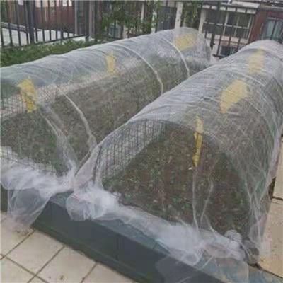 温室大棚配件大棚防虫网蔬菜防虫网农用防虫网