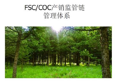 广东FSC认证审核