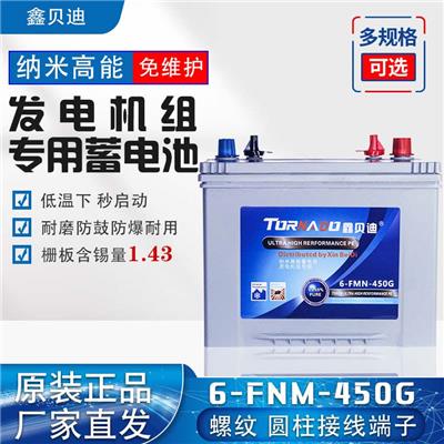 鑫贝迪发电机柴油机汽油燃气机组蓄电池6-FNM-450G