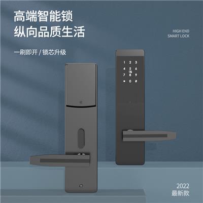 爱智达公寓密码锁 智能门锁感应锁 手机app共享门锁