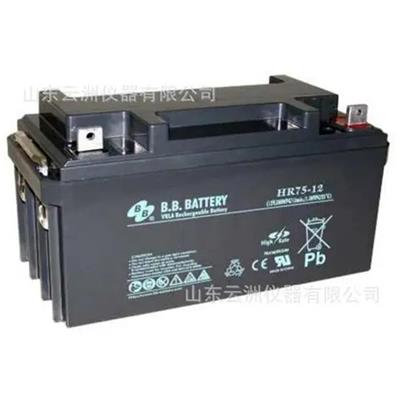 中国台湾BB蓄电池BPL7.5-12规格型号12V7.5AH船舶 直流屏太阳能