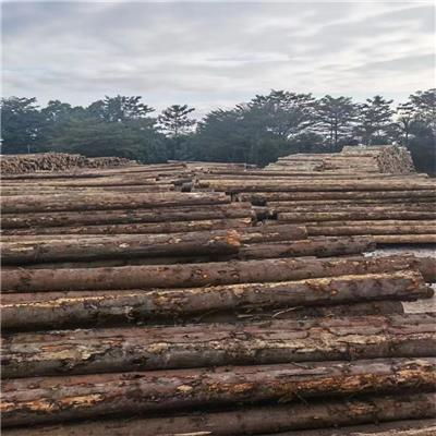 惠州澳松木方厂 澳洲松木方 满足建筑工地的循环使用