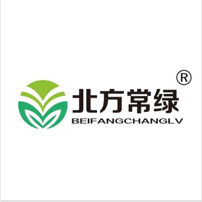 北京玉带草供应基地大量出售，北京本地苗