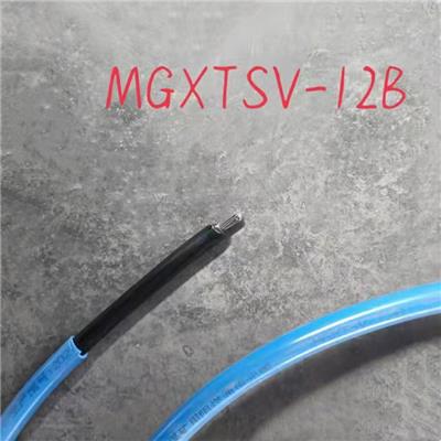 矿井用光缆MGTSV-6B/MGXTW-6B 库存充足资质齐全