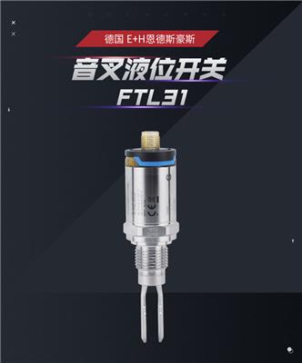 E+H品牌音叉开关FTL31---天合仪器