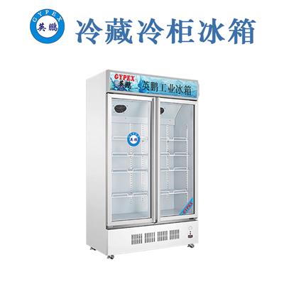 英鹏制冷LC-500L大型超市便利店美食店商场冷藏柜