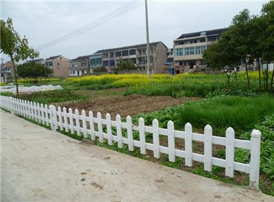草坪护栏 PVC栅栏围栏 户外花园围栏 小篱笆绿化塑钢防护栏 广东厂家