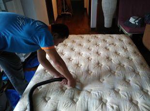 广州除螨公司，床垫沙发除螨清洗，全屋除螨清理