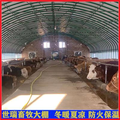 养殖牛棚建设 养牛场牛棚搭建 肉牛养殖大棚施工安装