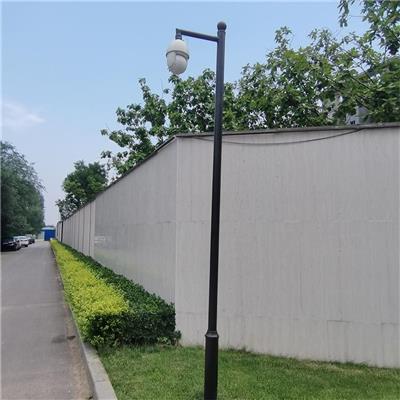 监控立杆厂家 保定公园小区3.5米监控立杆-天光灯具