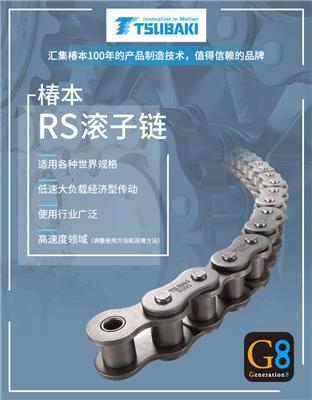 日本椿本TSUBAKI RS80-1 16A-1滚子链条模切机链条