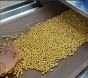 五谷杂粮微波烘干脱水设备大米干燥烘培机器