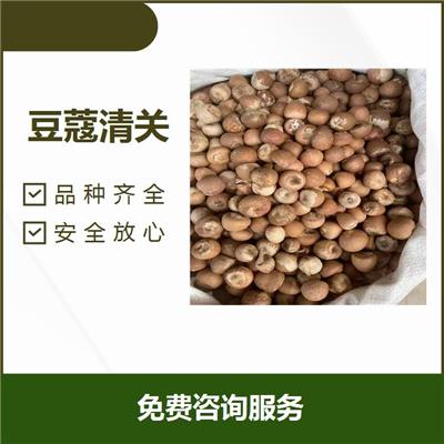 广州黄埔港豆蔻进口物流 安全性高 促进贸易便利化