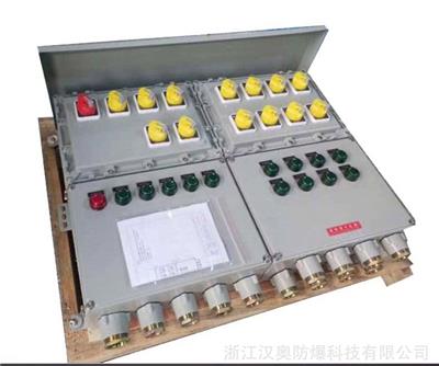 非标定制BXMD防爆照明动力配电箱开关控制插座箱仪表电控柜空箱