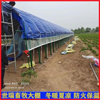 养鸭大棚建设 笼养鸭棚施工搭建 养鸭棚安装厂家