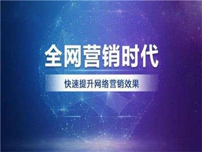 深圳市网企汇网络科技有限公司导流