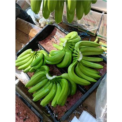 楚雄代收香蕉的公司 诚信合作