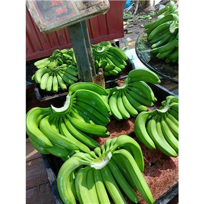 临沧香蕉申请的公司 欢迎咨询