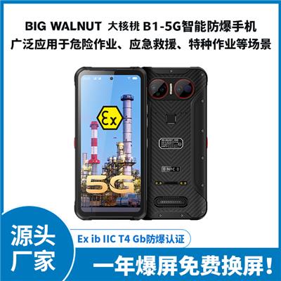 BIGWALNUT大核桃5g防爆手机厂商 较快的运行速度 支持指纹和脸部解锁
