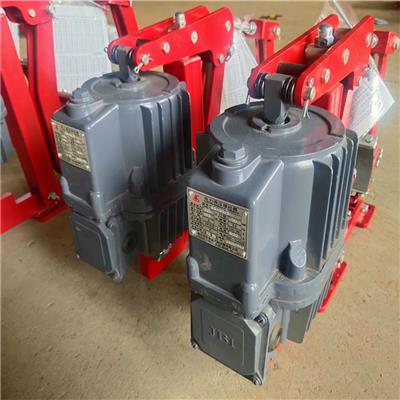 虹泰供应YWZ5-160/E23电力液压块式制动器