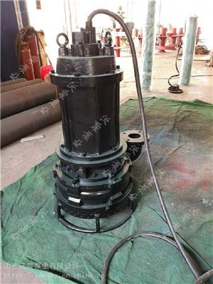 潜水污泥泵 水下电动抽渣泵 高浓度矿浆泵 相信专业的力量