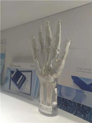 X射线手部模体-真人骨头X射线手部模体