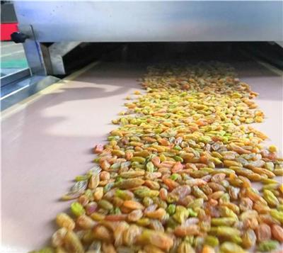 连续式五谷杂粮熟化设备 坚果熟化机 原厂质保 食品级材质