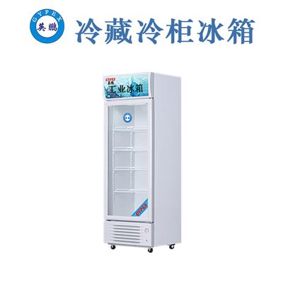 英鹏制冷LC-250L美食店商场小卖部超市冷藏冰箱