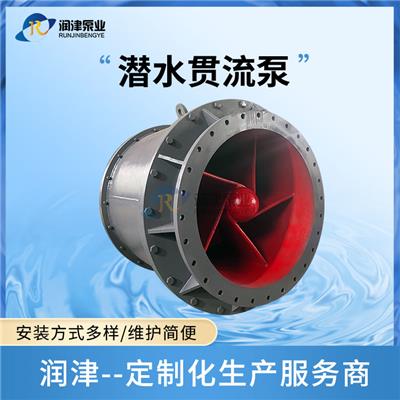天津潜水贯流泵图片 厂家批发 湿坑贯流泵