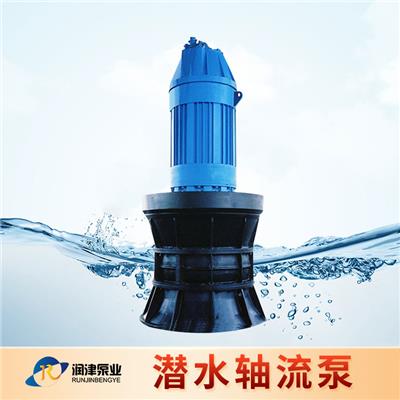 天津潜水轴流泵生产 雪橇式轴流泵