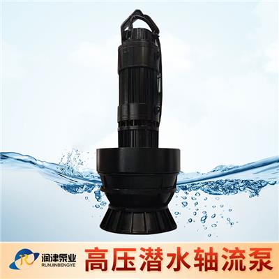 天津潜水轴流泵规格 井筒式轴流泵