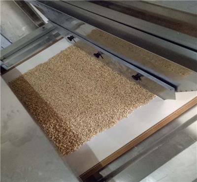 沃斯特黄豆微波熟化设备隧道式五谷杂粮干燥机