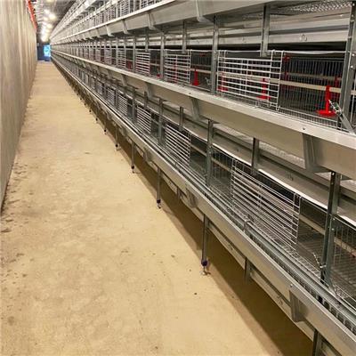 河南养鸡设备厂家 蛋鸡养殖设备 4层立体养鸡铁网