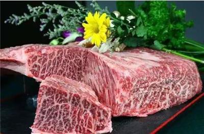 广州冻肉一般贸易进口清关公司