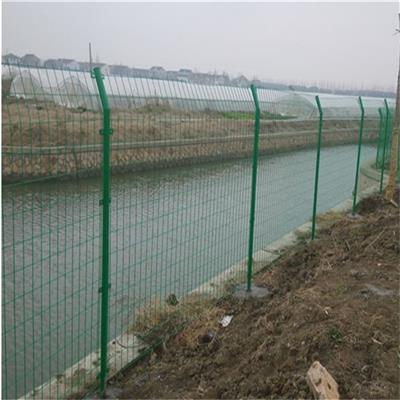 绿色金属框架护栏网 双边丝护栏网 圈山圈地防护栅栏