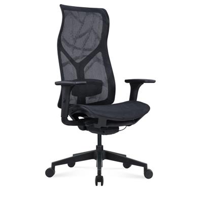 简约家用办公人体工学椅可躺旋转升降老板椅电脑电竞椅SY-283A