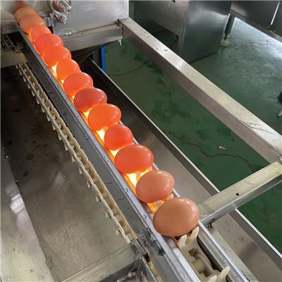 潍坊科瑞泰机械科技有限公司 蛋品清洗