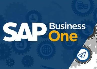 思爱普 Business One(SAP B1)