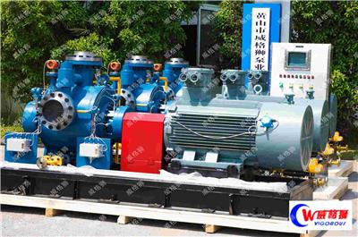 HMWPS200，双螺杆泵，外输泵，油气水混合外输泵