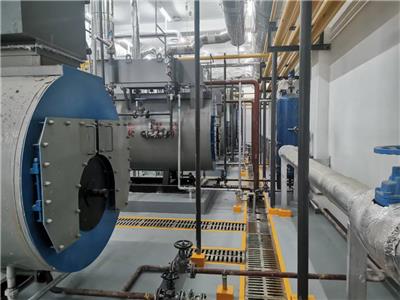 3T冷凝燃气锅炉低氮改造公司