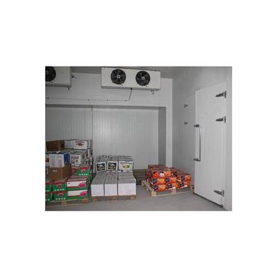 小型冷库建设 阜城冷库设备安装 水果蔬菜储存保鲜冷库